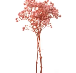 dpCraft Gałązki gipsówki - - light pink 15-20 cm 4 szt. > Kwiaty I Ozdoby Roślinne