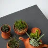 PaperConcept Glinka samoutwardzalna Air-Dry Clay - - Terracota 5 kg > Masy Do Modelowania