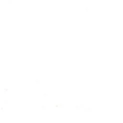 Holbein Gwasz Artists’ Gouache - - Primary White, 15 ml