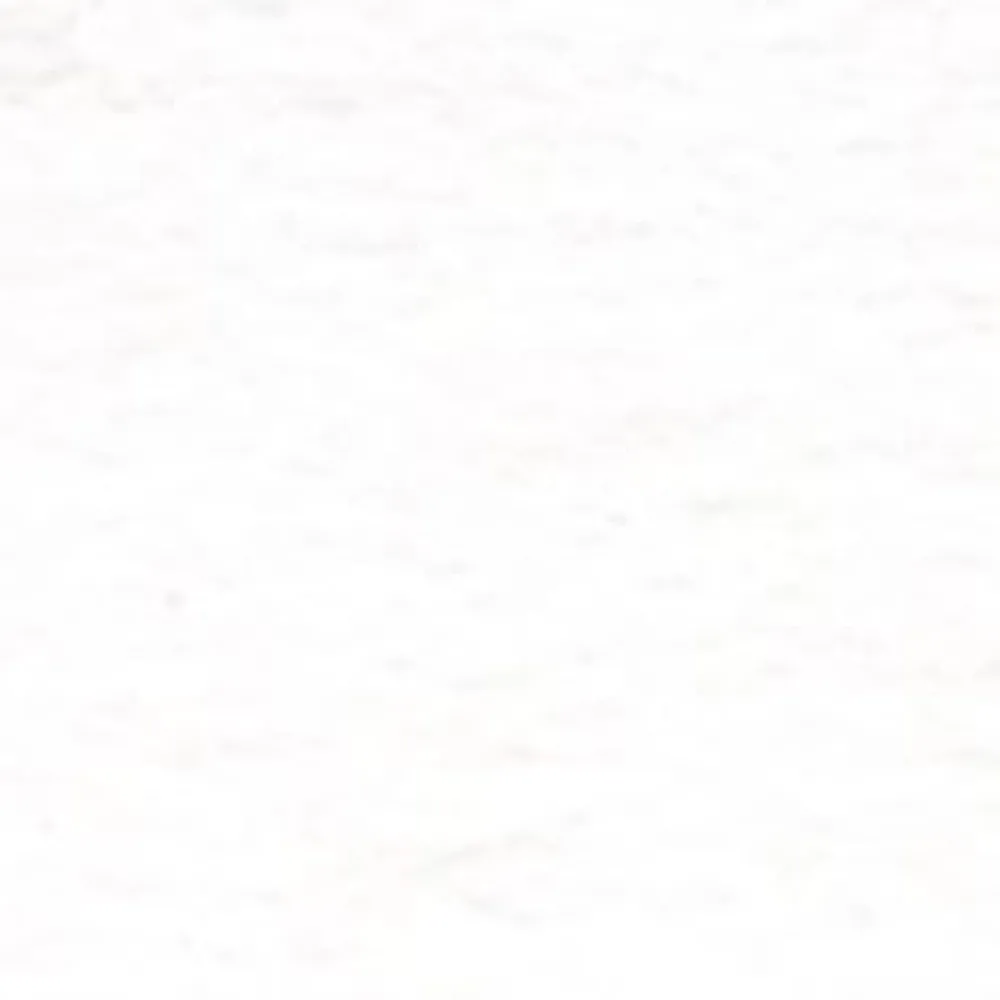 Holbein Gwasz Artists’ Gouache - - Permanent White, 15 ml