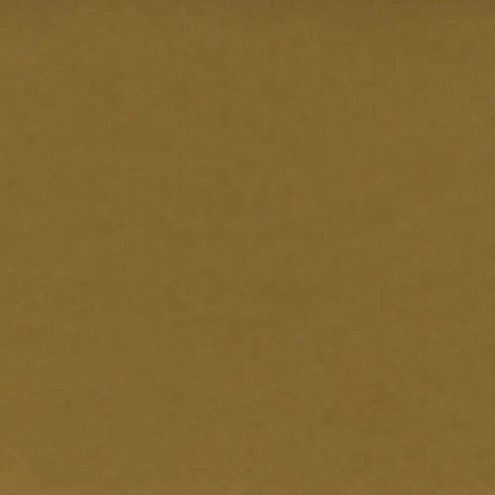 Holbein Gwasz Artists’ Gouache - - Raw Umber, 15 ml