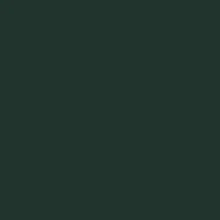 Holbein Gwasz Artists’ Gouache Irodori - - Russet Green, 15 ml