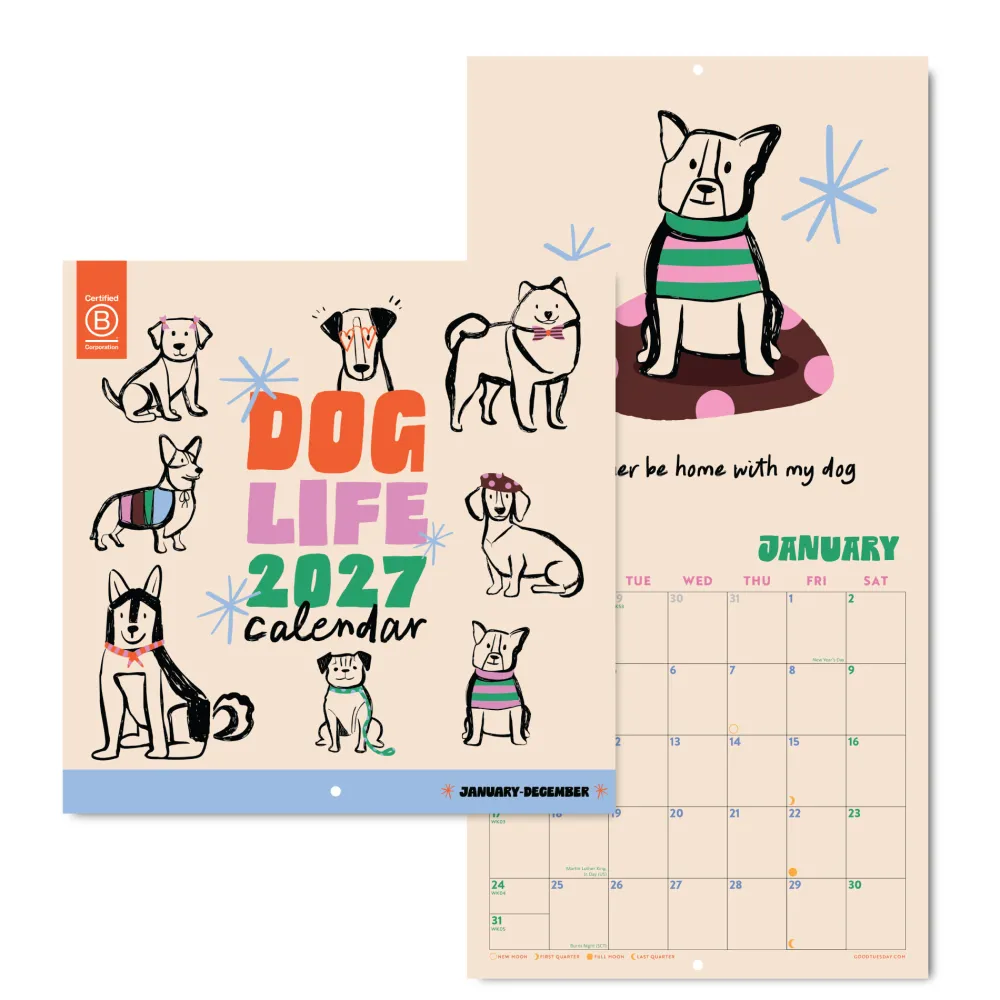 Good Tuesday Kalendarz ścienny 2027 - - Dog Life 30 × 30 cm