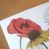 Hi Little Kartka okolicznościowa - - Kwiaty Polne