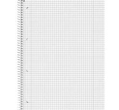 Brunnen Kołozeszyt w kratkę Student Ośmiornica A4 - - 90 g/m2 80 ark. ><noscript><img width=