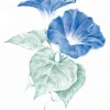 Derwent Kredka Drawing - - 7140 Fossil Grey > Kredki