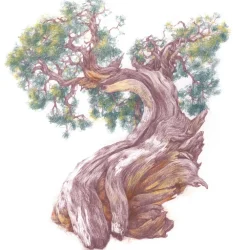 Derwent Kredka Drawing - - 0700 Rust ><noscript><img width=