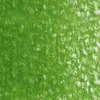 Holbein Kredka ołówkowa Artists' - - 262, Sap Green