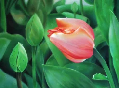 KOH-I-NOOR Kredka ołówkowa Polycolor - - 451, Warm Grey 1