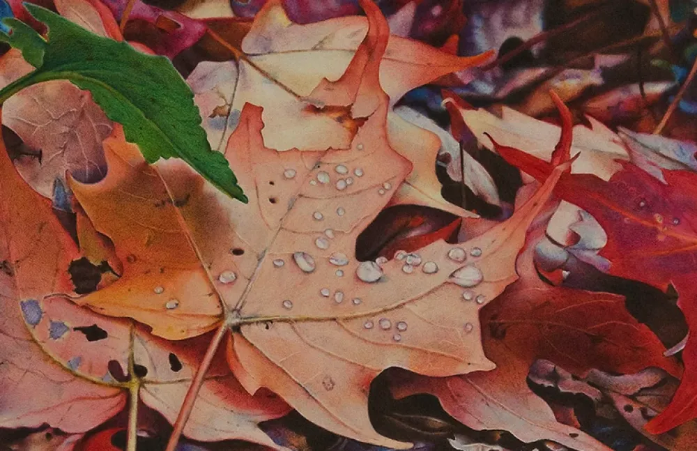 KOH-I-NOOR Kredka ołówkowa Polycolor - - 214, Dark Earth Brown > Kredki