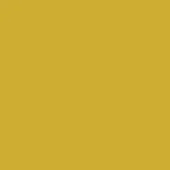 Liquitex Marker akrylowy - - Metallic Gold 2 mm