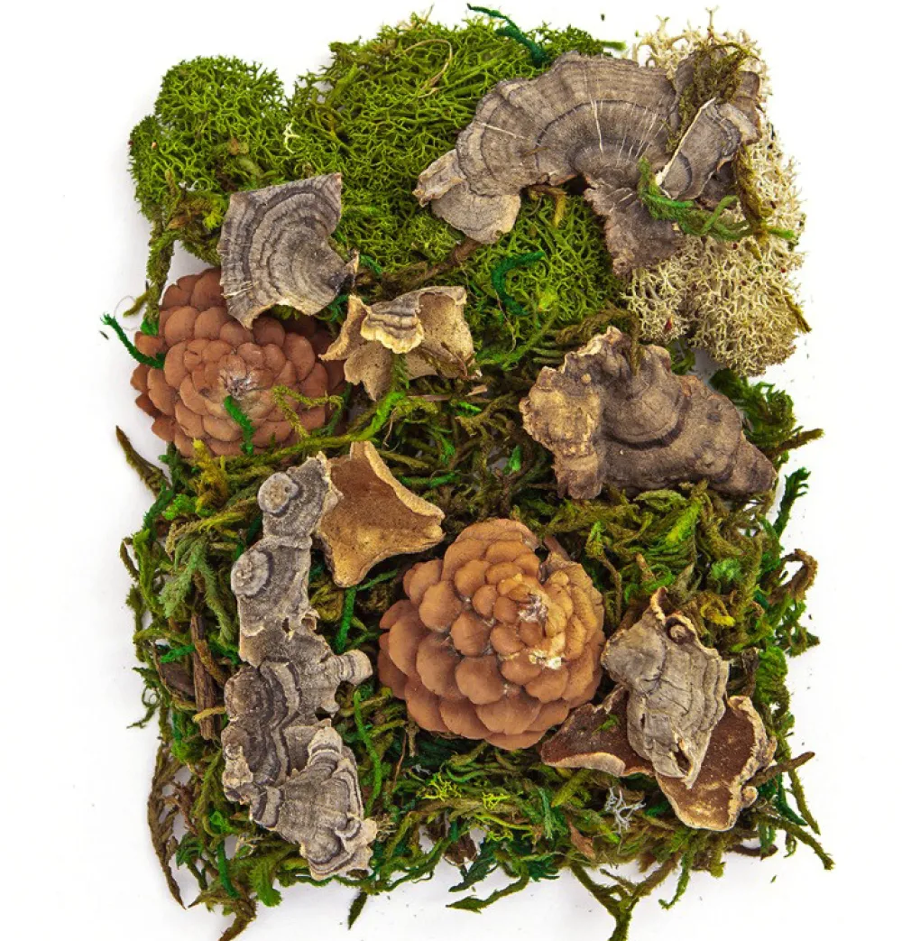 dpCraft Mech i naturalne elementy - - 30 g