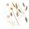 dpCraft Mini bukiet suszonych kwiatów Beige Touch - - 20 cm > Kwiaty I Ozdoby Roślinne