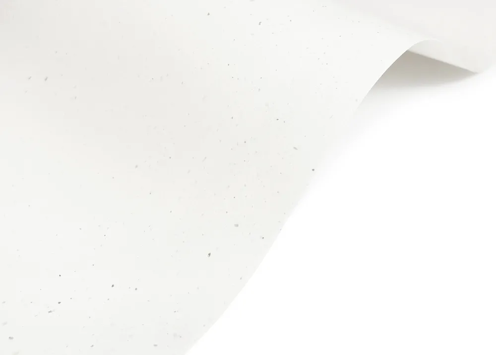 Arjowiggins Papier Curious Particles 120g - White Java złamana biel A4 > Papiery Ekologiczne