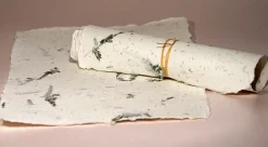 Kalander Papier czerpany - - asparagus, gładki, A4