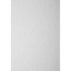 Favini Papier dla plastyków Prisma - - Bianco, A4, 160 g, 20 ark.