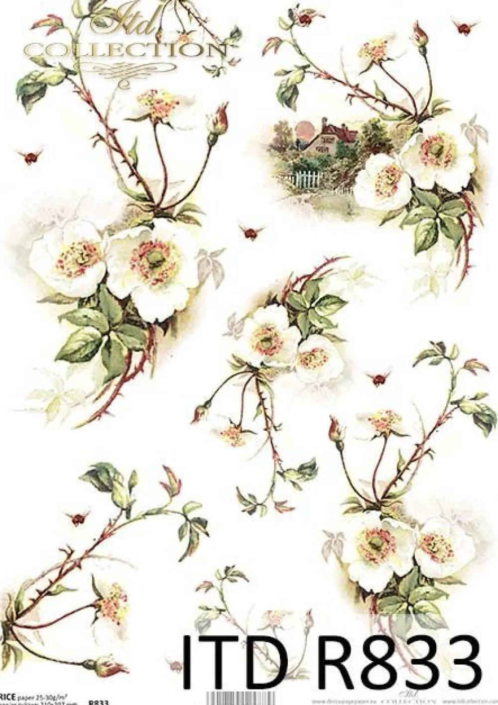 ITD Collection Papier do decoupage A4 - - ryżowy, R833