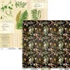 Mintay by Karola Papier do scrapbookingu 30,5 x 30,5 cm - Mintay - Botany 04