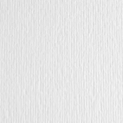 Fabriano Papier Elle Erre 220g - - Bianco, biały, B1 > Papiery Ekologiczne|Papiery Fakturowane