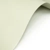 Koehler Papier Eco 120 g - - Sage szałwiowy A4 > Papiery Ekologiczne|Papiery Barwione W Masie