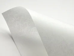 Fedrigoni Papier Pergamenata 110g - Bianco biały A4