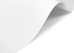 Arjowiggins Papier Rives Tradition 250g - Bright White jasna biel A4 > Papiery Fakturowane