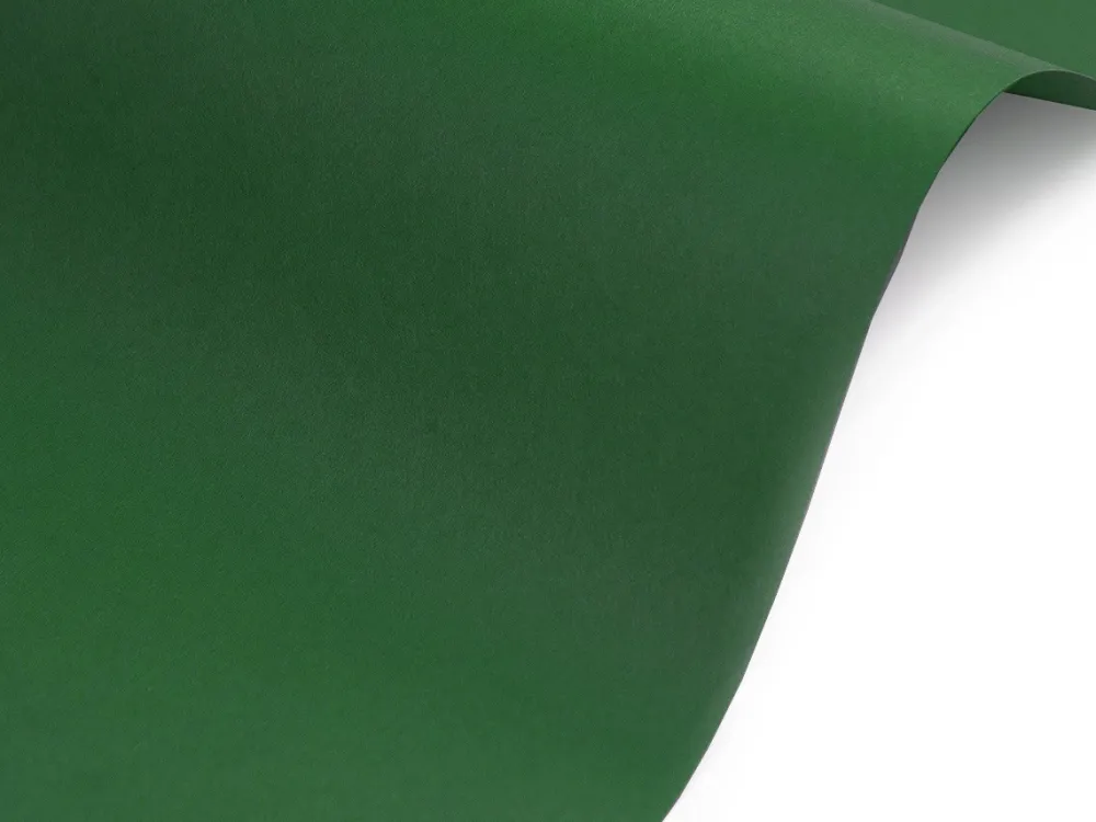 Fedrigoni Papier Sirio Color 140g - Foglia zielony A4
