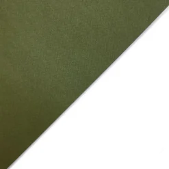 Fedrigoni Papier Tintoretto Ceylon 140g - Wasabi oliwkowy A4 > Papiery Barwione W Masie|Papiery Fakturowane