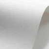Fedrigoni Papier Tintoretto 140g - Gesso biały A4 > Papiery Fakturowane