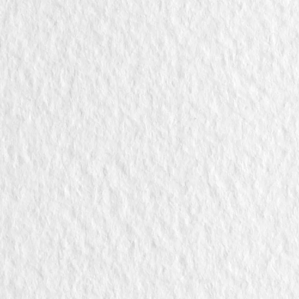 Fabriano Papier Tiziano 160g - - Bianco, biały, B1
