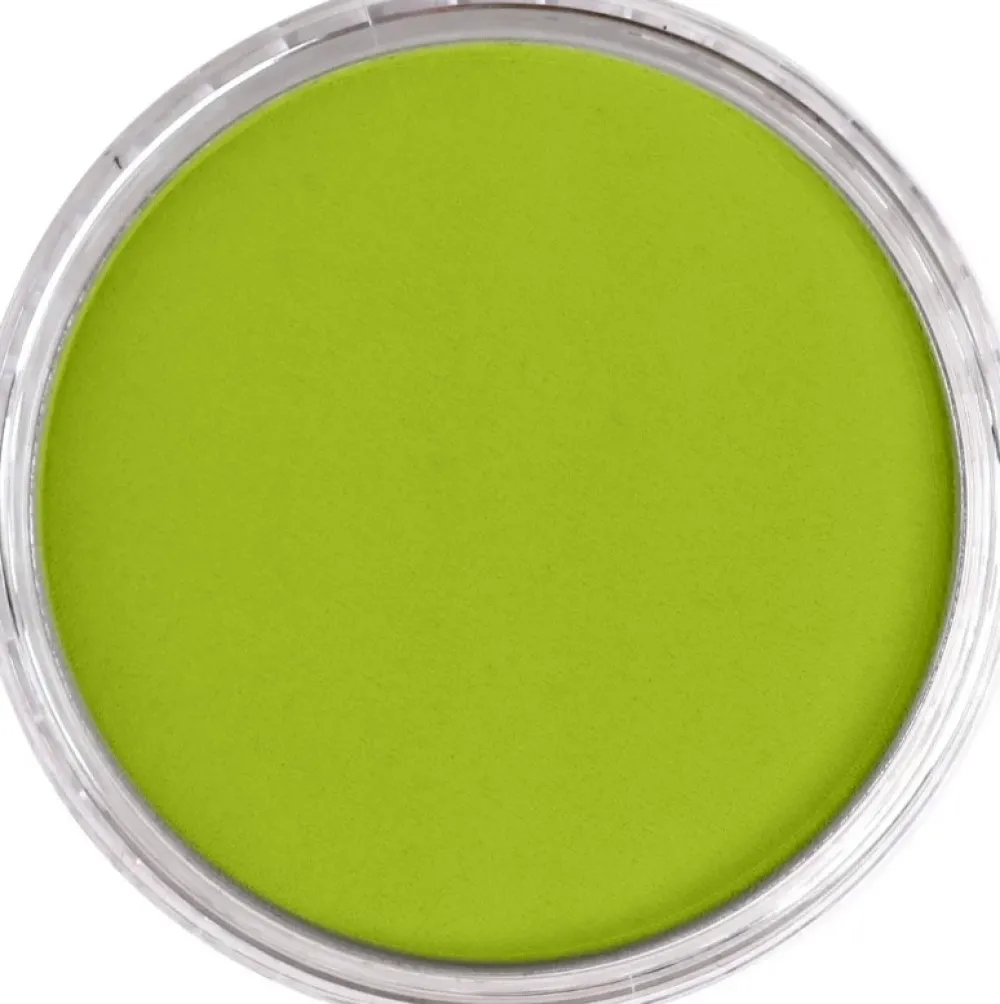 PanPastel Pastela sucha - 680.5 Bright Yellow Green
