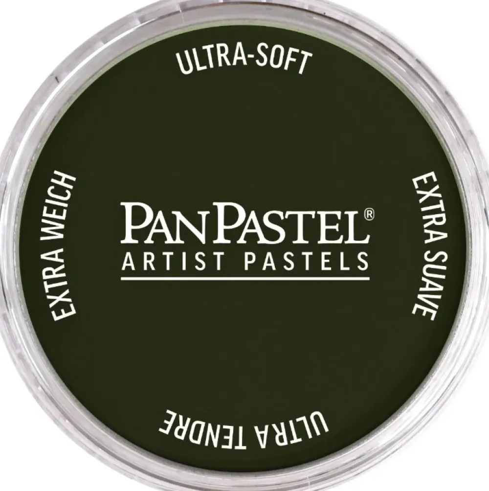 PanPastel Pastela sucha - 660.5 Chromium Oxide Green > Pastele