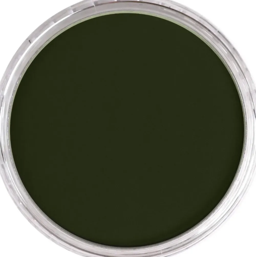 PanPastel Pastela sucha - 660.5 Chromium Oxide Green > Pastele