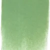 PanPastel Pastela sucha - 660.7 Chromium Oxide Green Light > Pastele