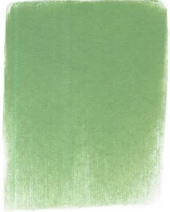 PanPastel Pastela sucha - 660.7 Chromium Oxide Green Light > Pastele
