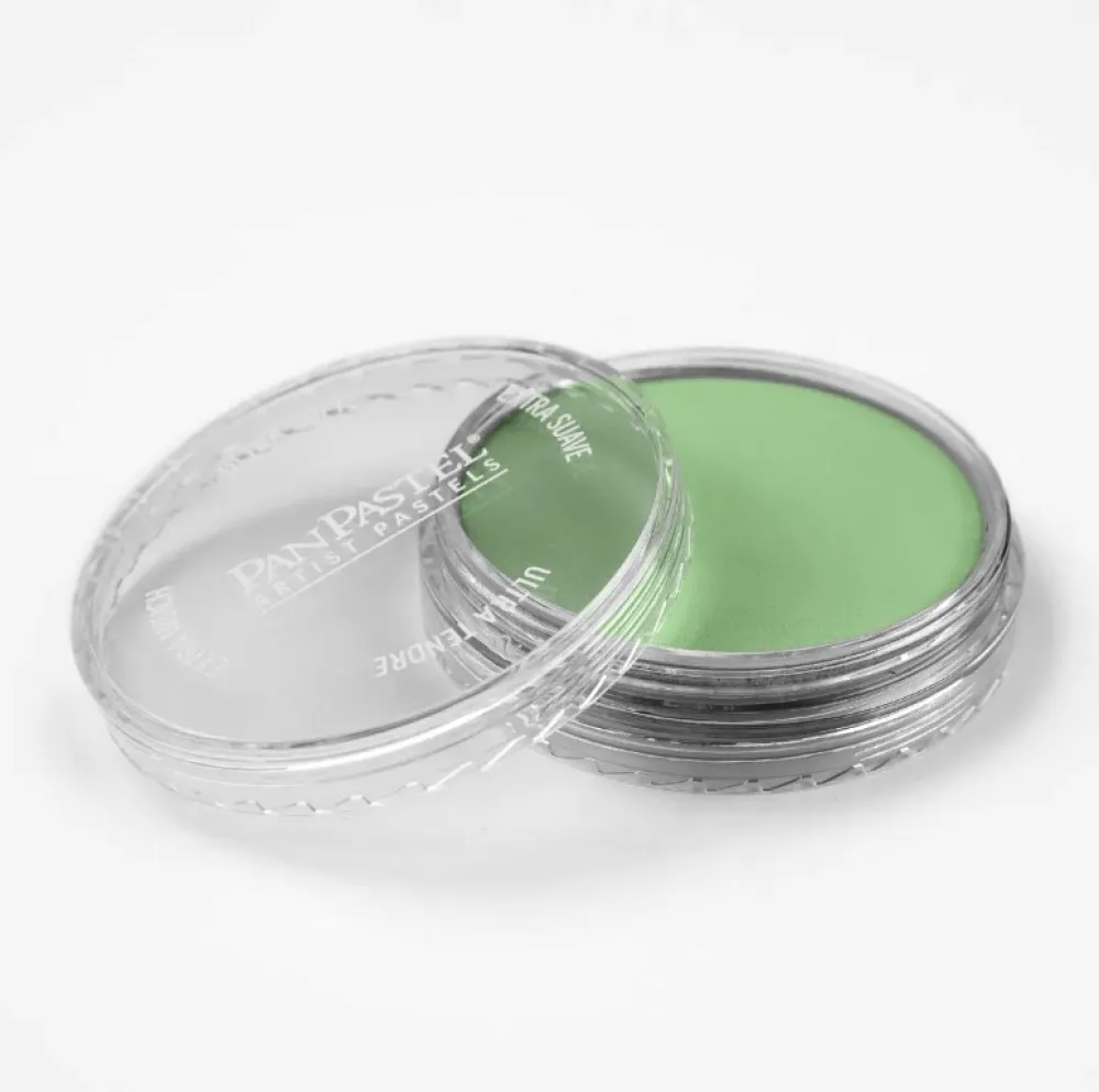 PanPastel Pastela sucha - 660.7 Chromium Oxide Green Light > Pastele