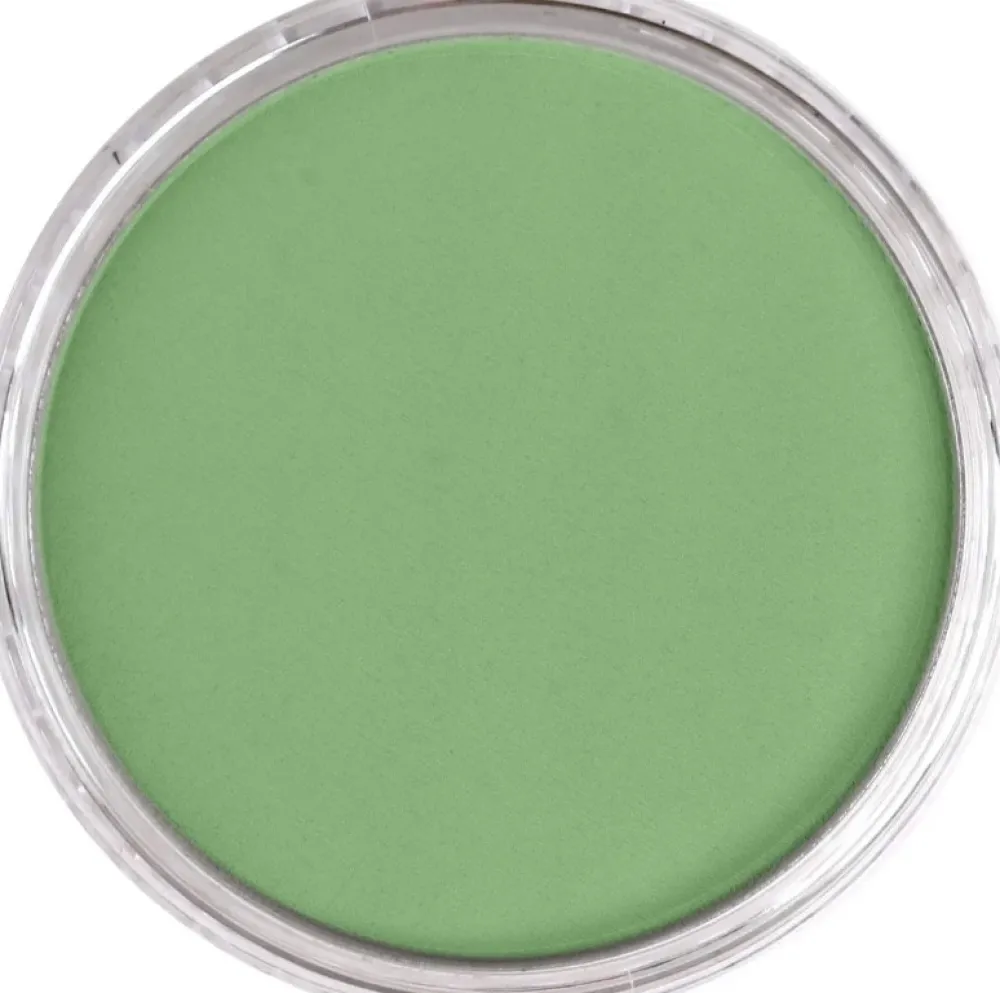 PanPastel Pastela sucha - 660.7 Chromium Oxide Green Light > Pastele