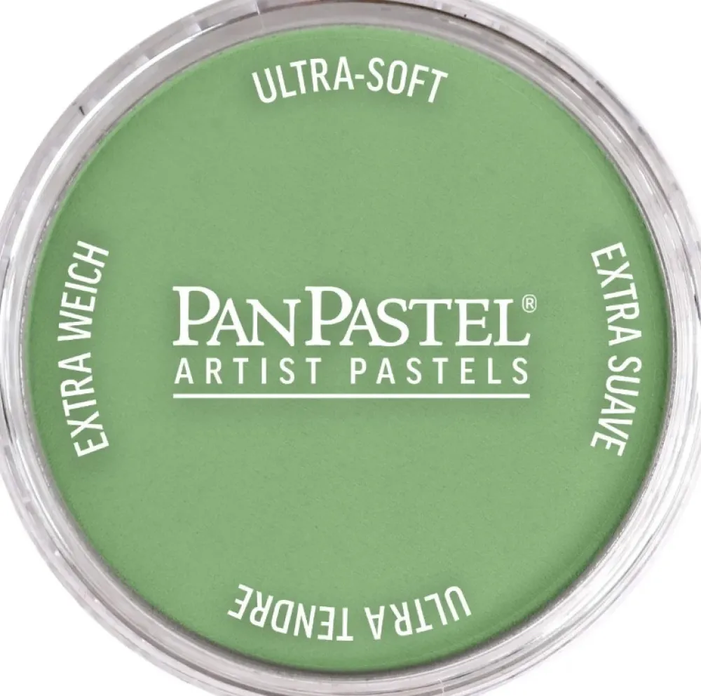 PanPastel Pastela sucha - 660.7 Chromium Oxide Green Light > Pastele