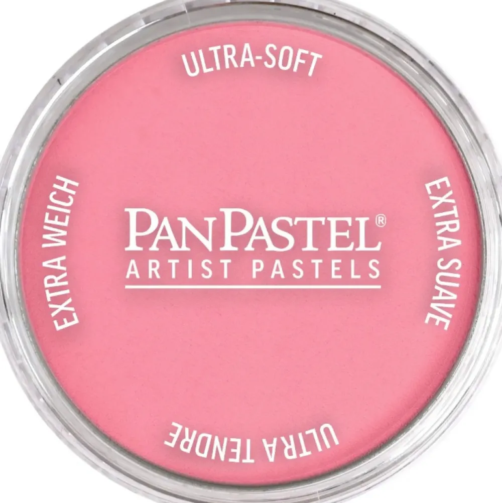 PanPastel Pastela sucha - 954.5 Pearlescent Violet > Pastele