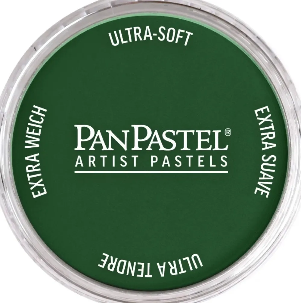 PanPastel Pastela sucha - 640.1 Permanent Green Extra Dark > Pastele