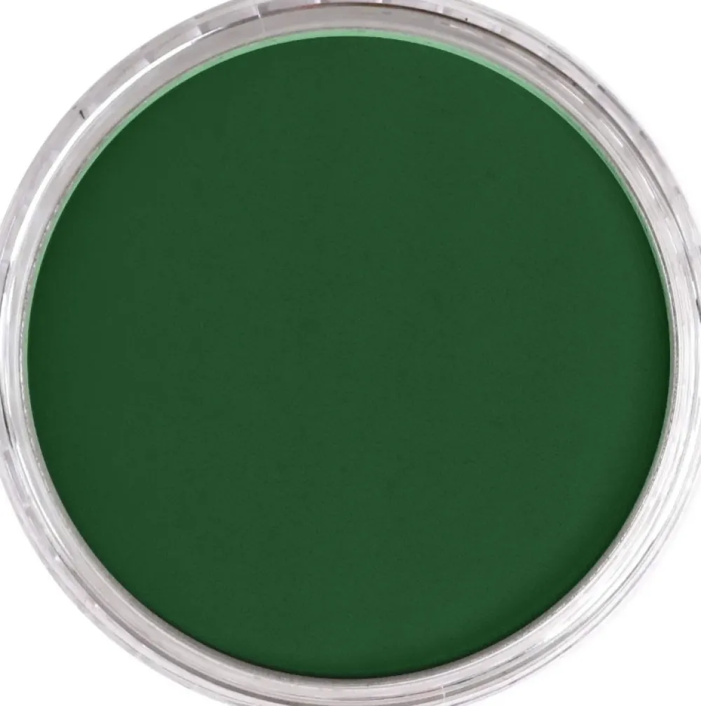 PanPastel Pastela sucha - 640.1 Permanent Green Extra Dark > Pastele