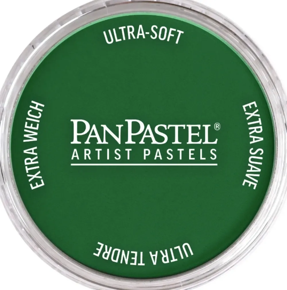 PanPastel Pastela sucha - 640.5 Permanent Green > Pastele