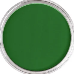 PanPastel Pastela sucha - 640.5 Permanent Green ><noscript><img width=