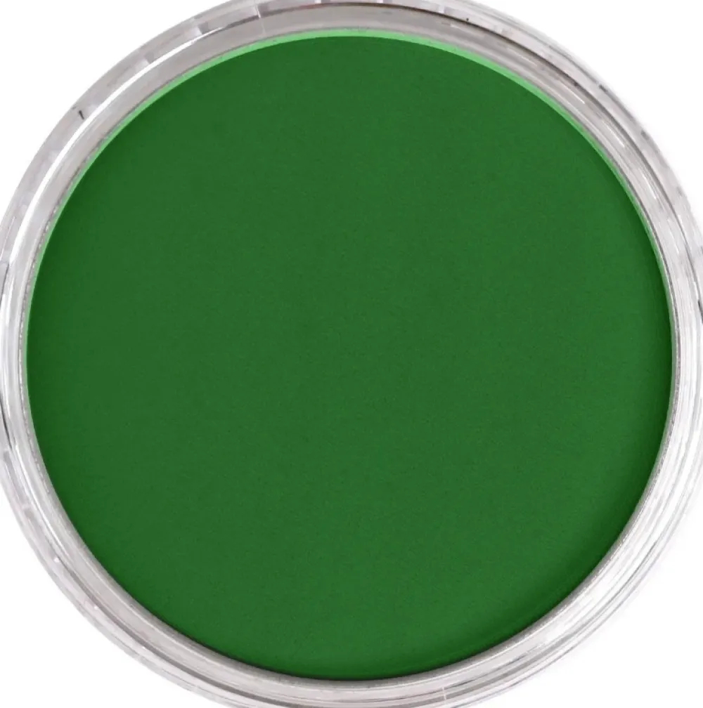 PanPastel Pastela sucha - 640.5 Permanent Green > Pastele