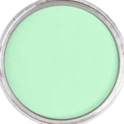 PanPastel Pastela sucha - 640.8 Permanent Green Tint