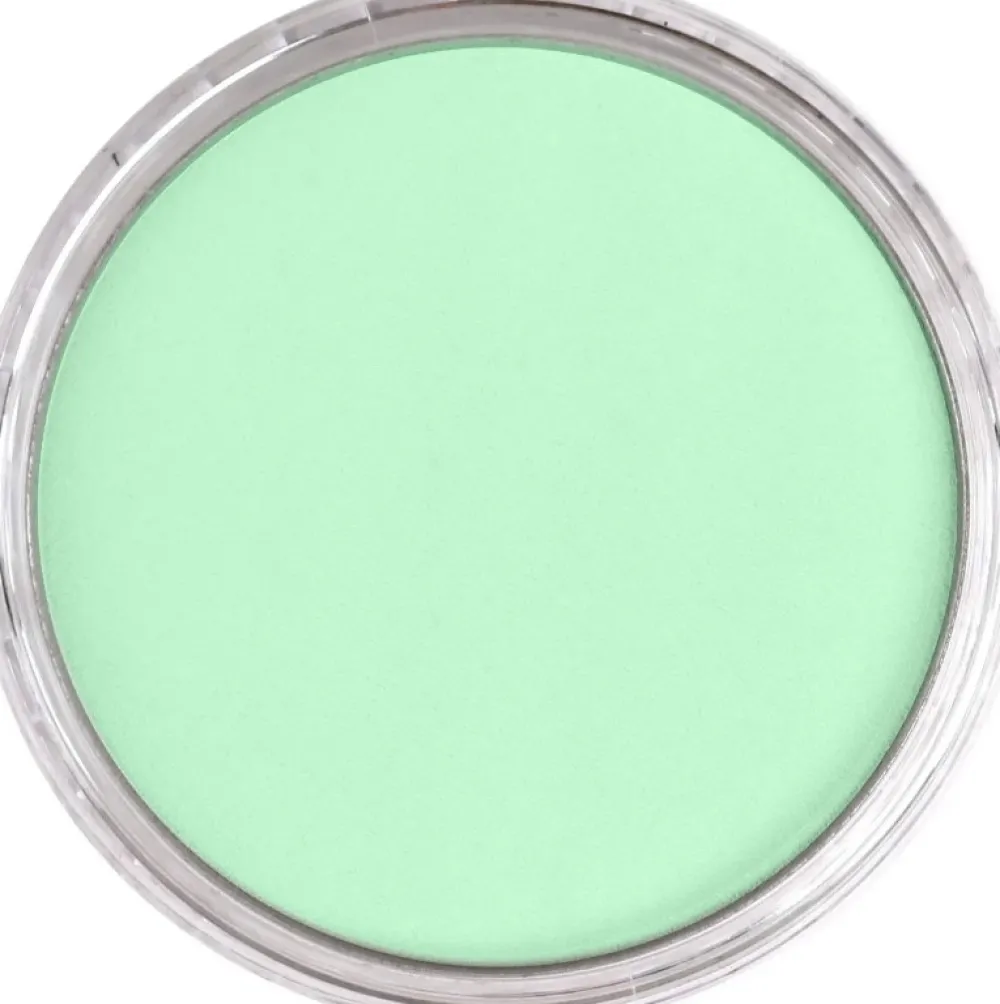 PanPastel Pastela sucha - 640.8 Permanent Green Tint