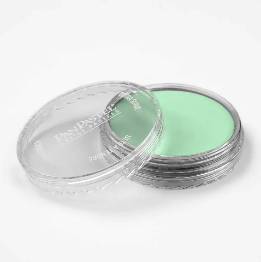 PanPastel Pastela sucha - 640.8 Permanent Green Tint