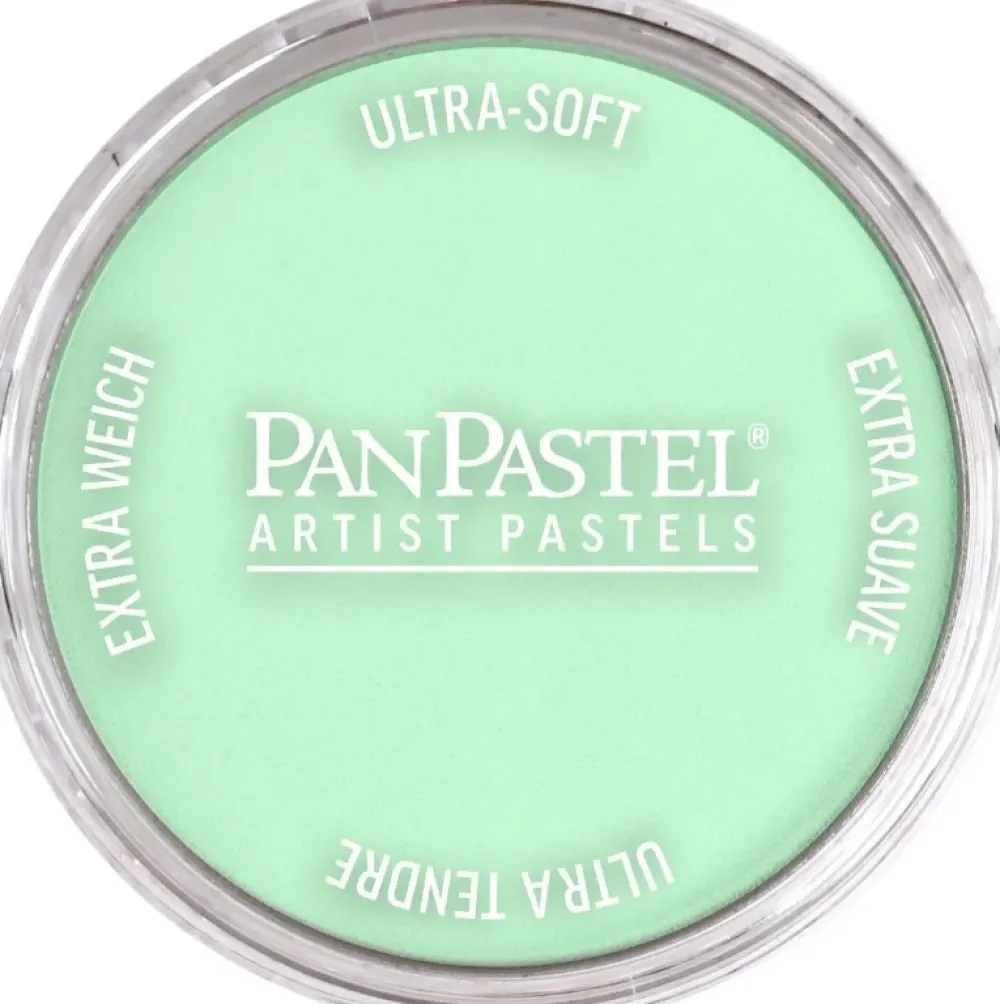 PanPastel Pastela sucha - 640.8 Permanent Green Tint