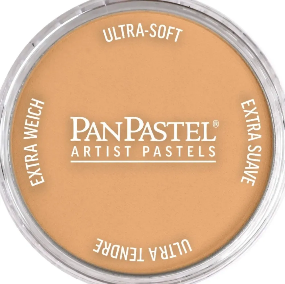 PanPastel Pastela sucha - 710.7 Raw Sienna Light > Pastele