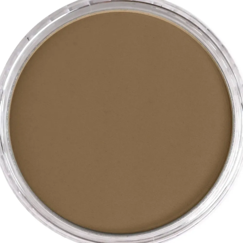 PanPastel Pastela sucha - 780.7 Raw Umber Light